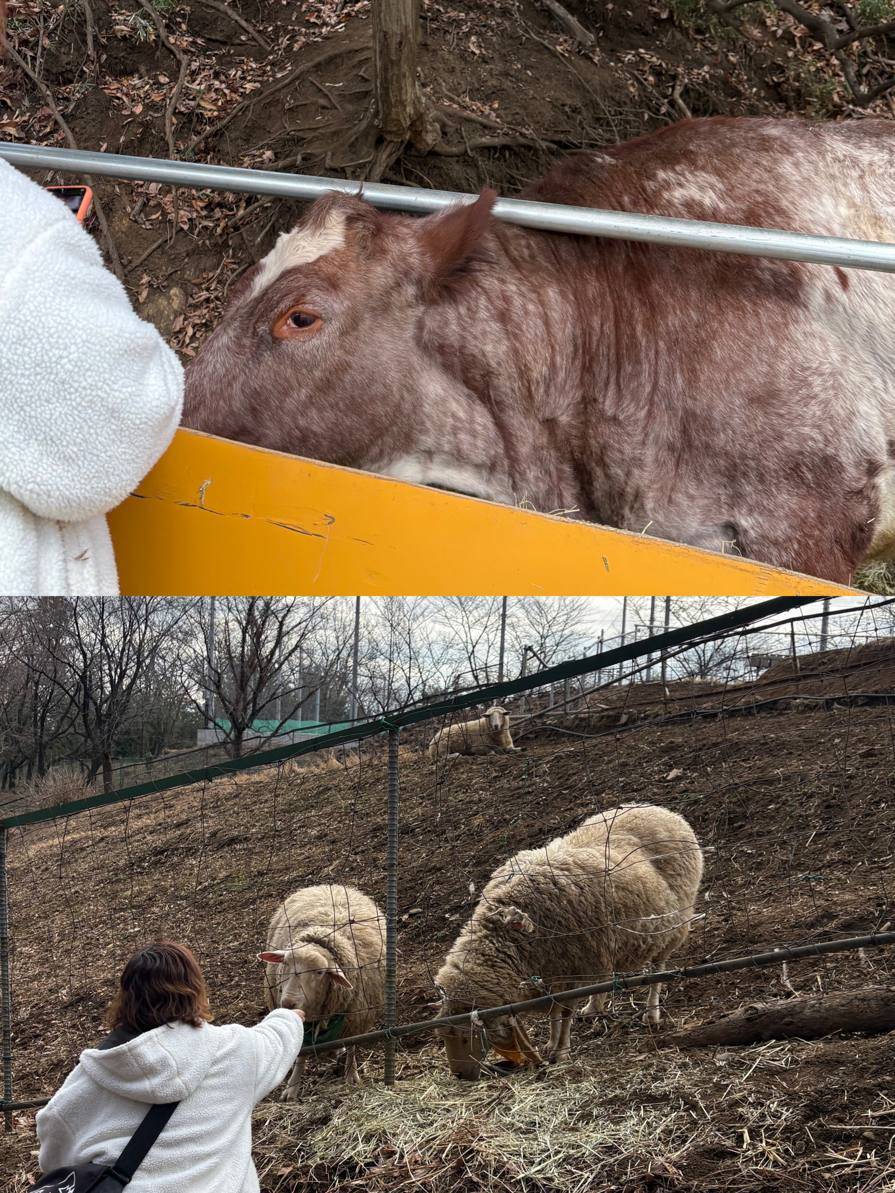 A36FDED1-63A8-4052-9997-8963E281BA1C